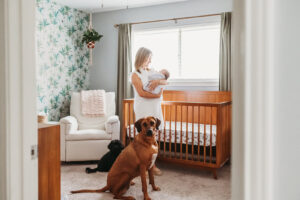 10 Must Have Photos from an In-home Lifestyle Newborn Session